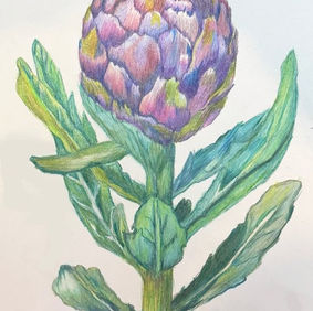 Basic Drawing Sampler Wednesdays