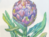 Basic Drawing Sampler Wednesdays