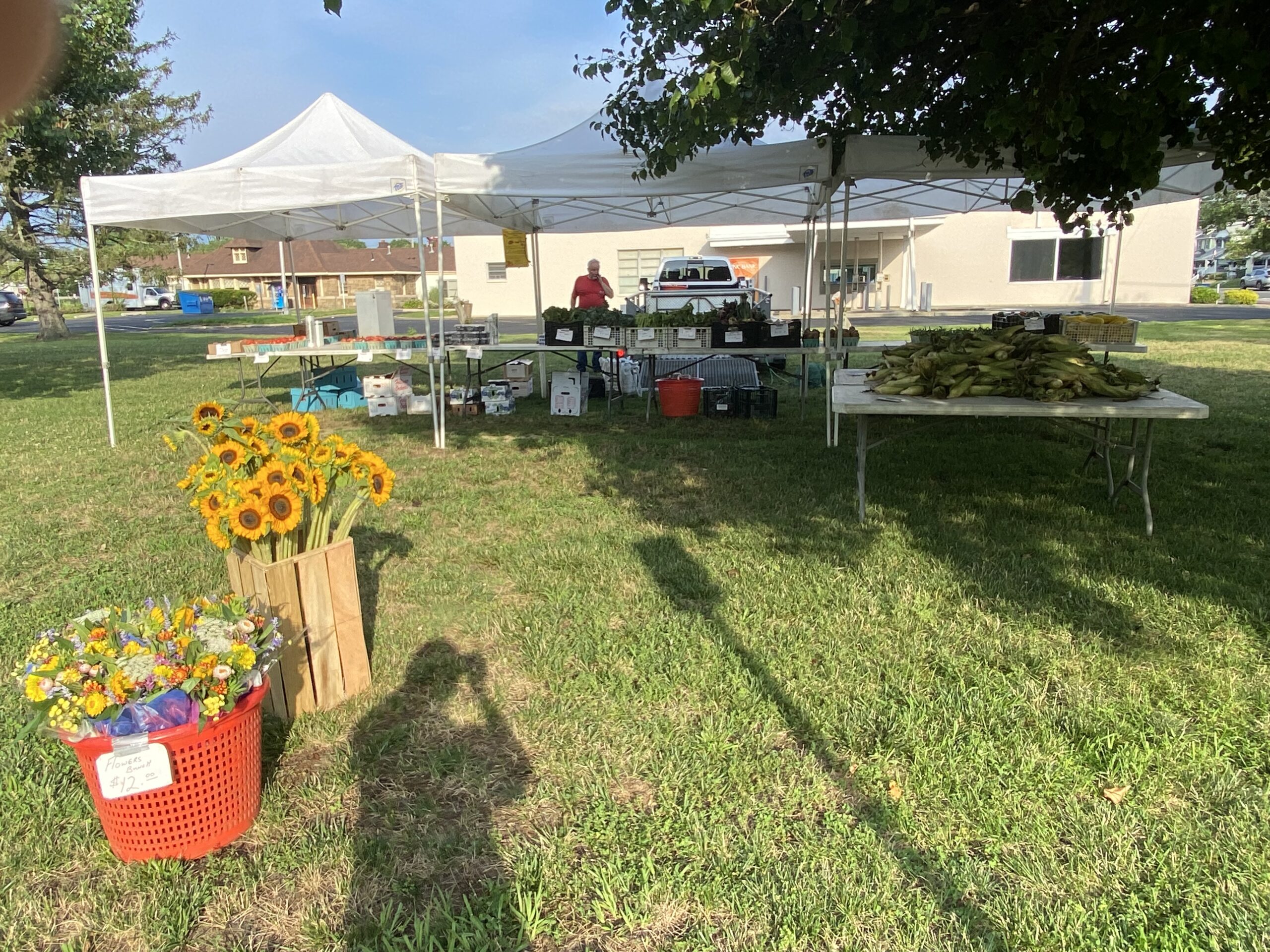 AP Sunset Farmer’s Market