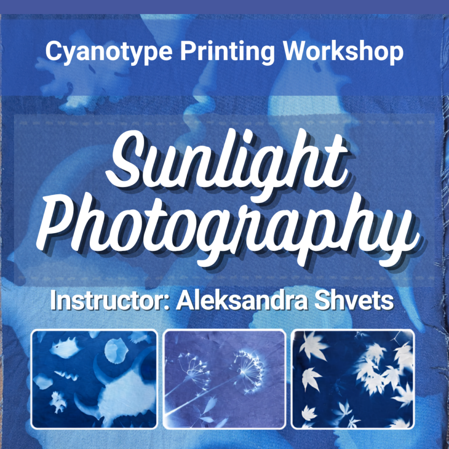 Sunlight Photography Workshop at Over the Moon Art Studio