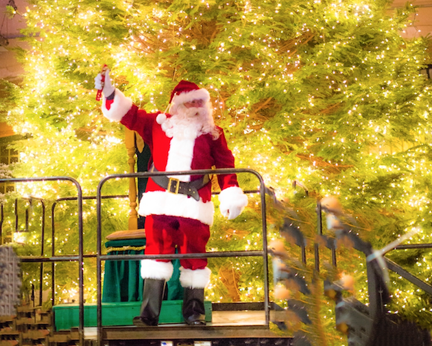 Asbury Park Tree Lighting