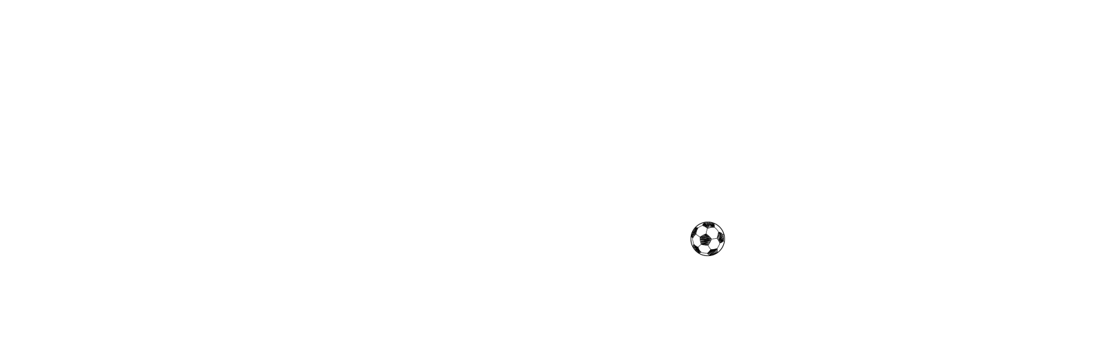 The Wolves