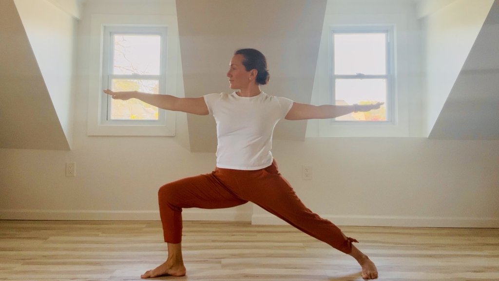 6 week Beginner series (individual session)