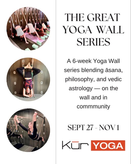 The Great Yoga Wall Series: Awakening the Spine & Mind