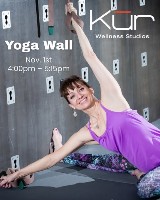 Great Yoga Wall Workshop