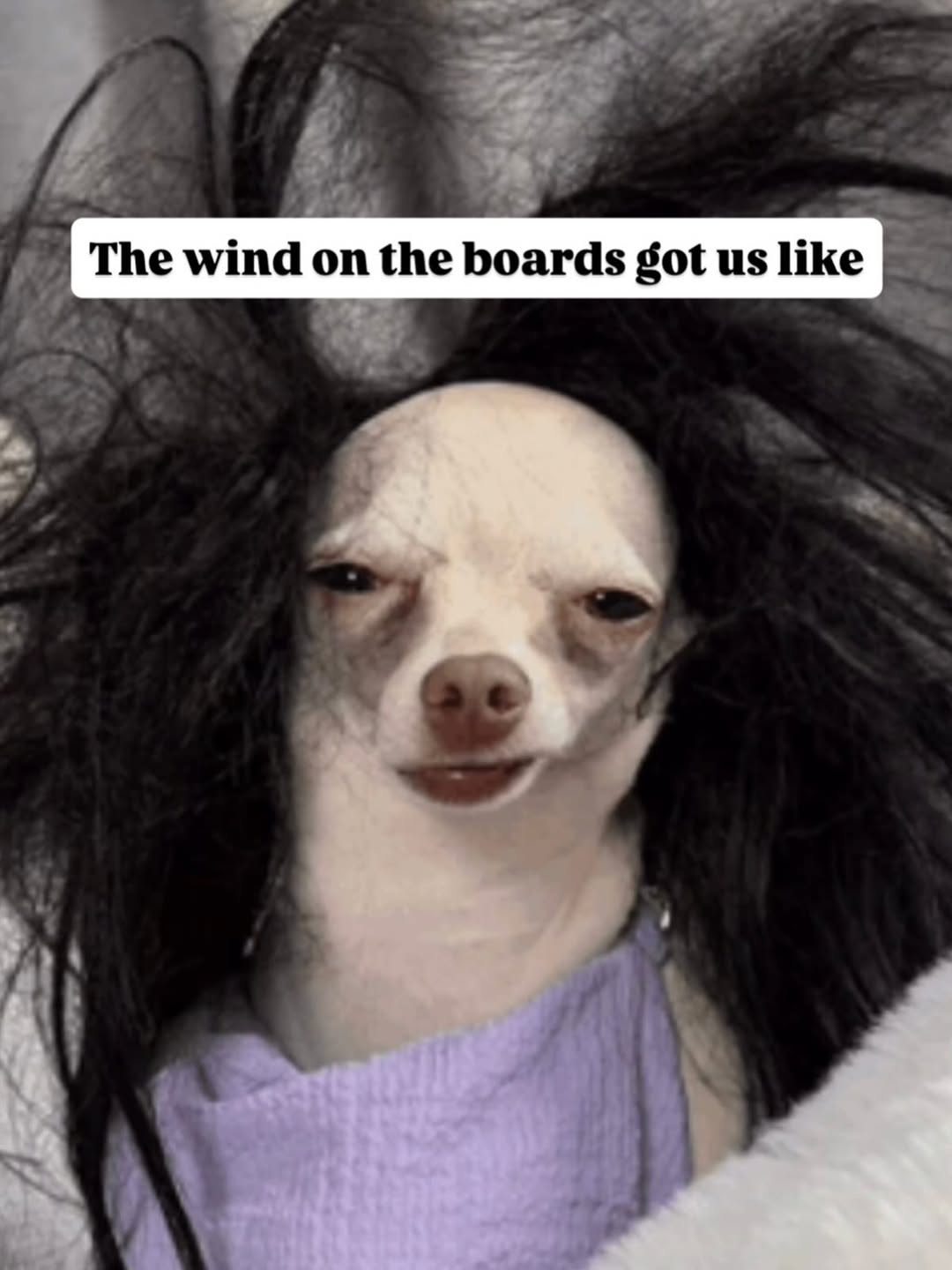 Asbury Park Walking Club: Boardwalk Walk