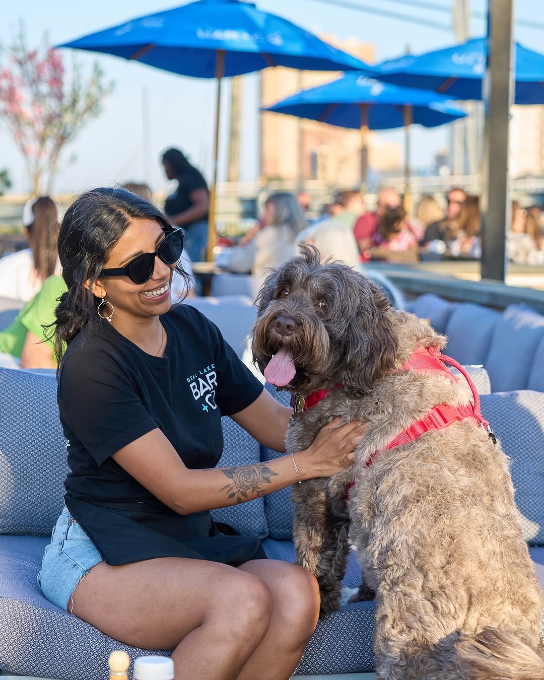 Paws On The Patio!