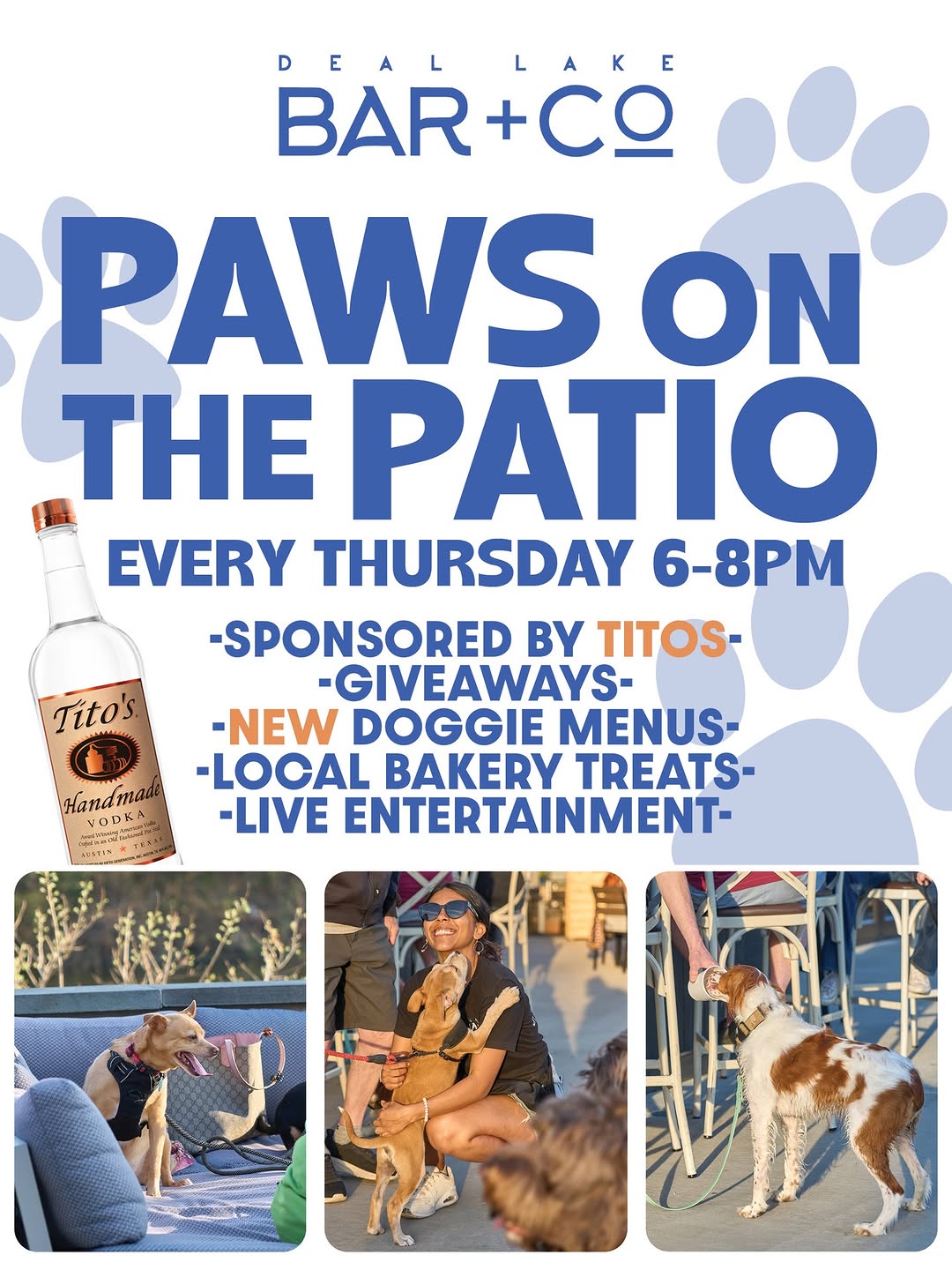 Paws on the Patio