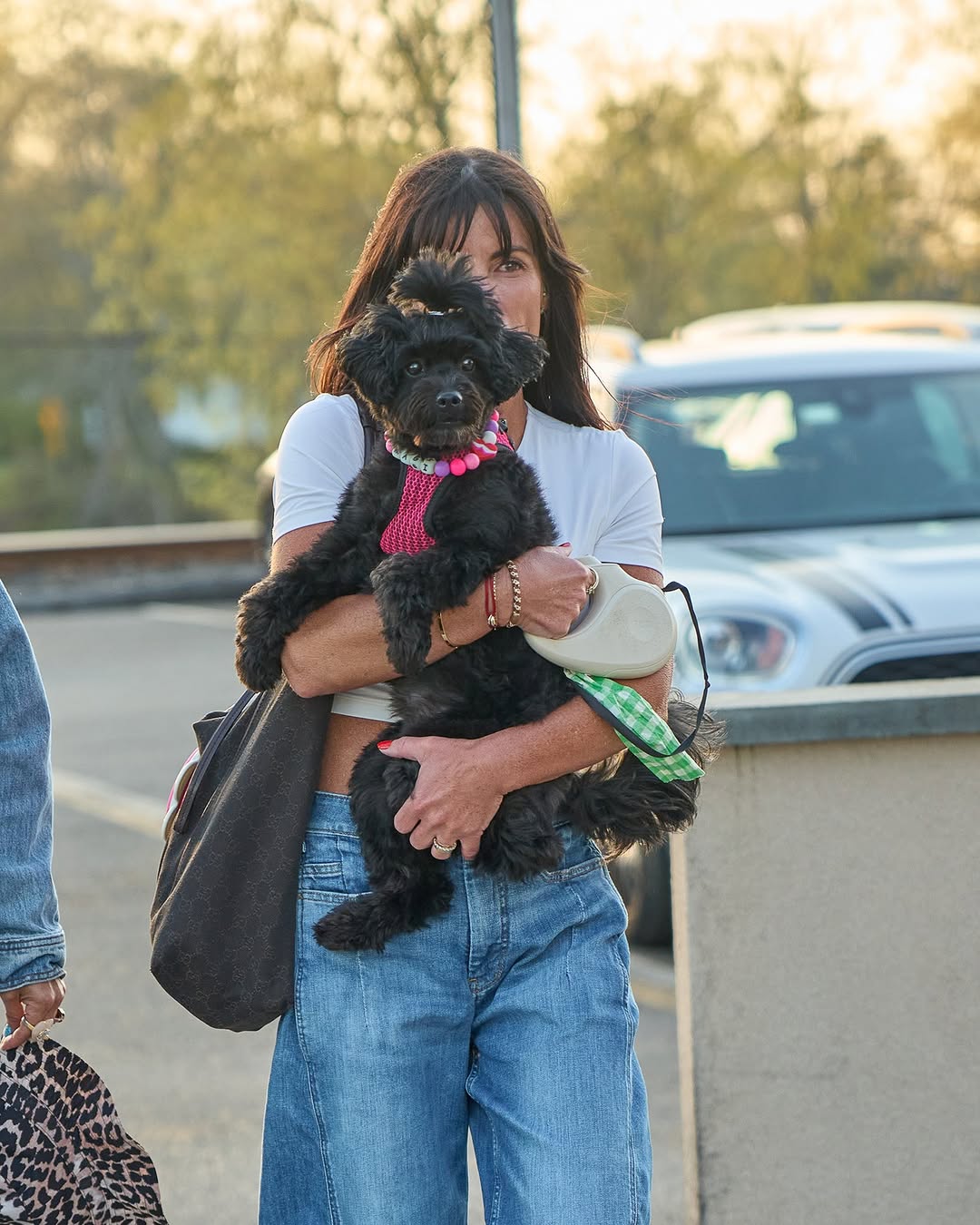 Paws on the Patio with Pacifico