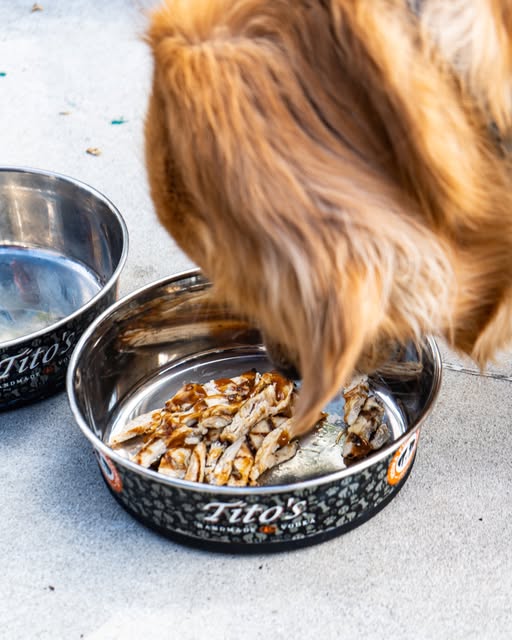 Paws on the Patio featuring Tito's Handmade Vodka