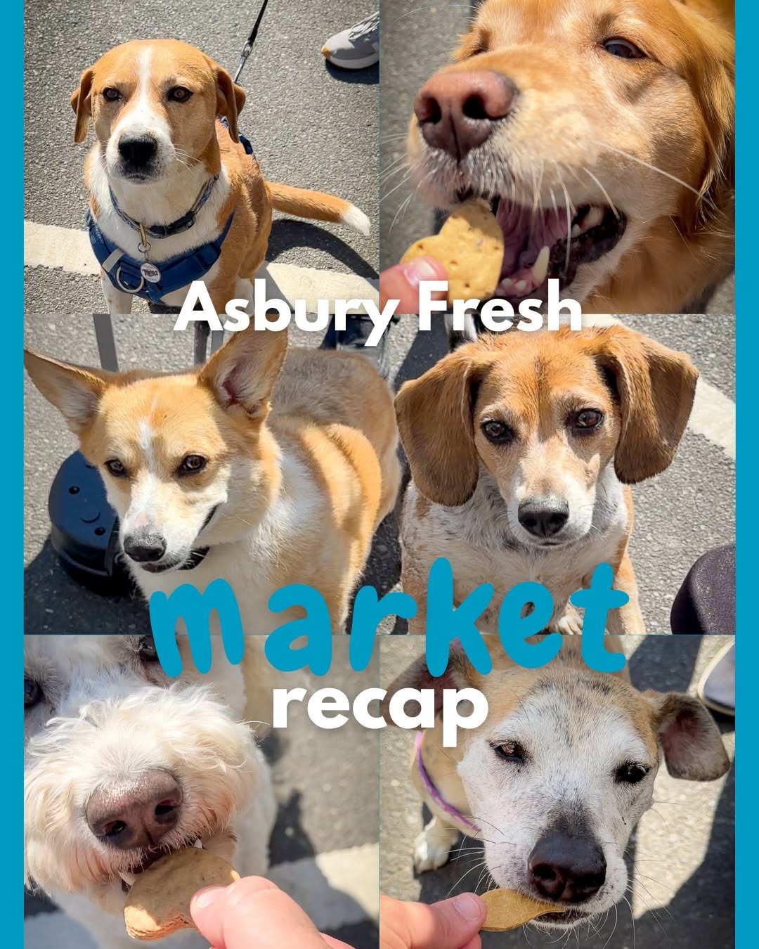 Asbury Fresh Farmers & Makers Market