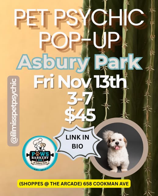Pet Psychic Pop-Up