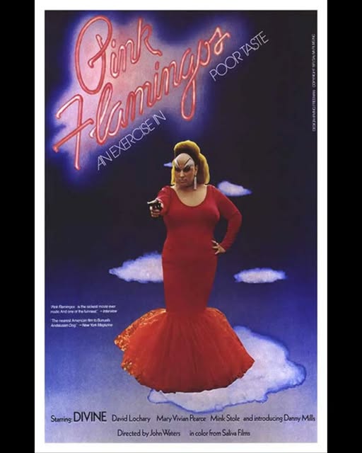 Summer Camp: Pink Flamingos