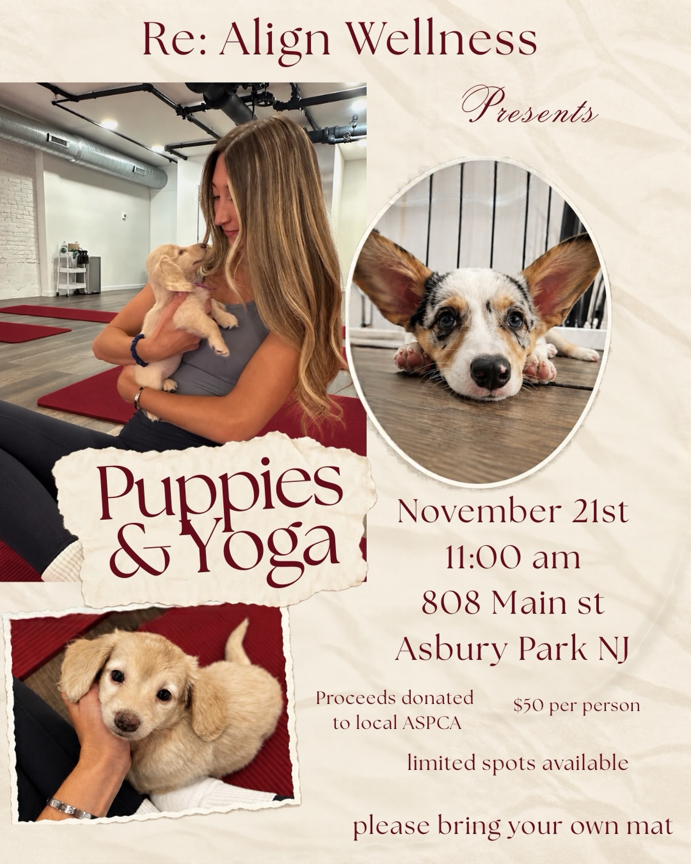 Puppies & Yoga