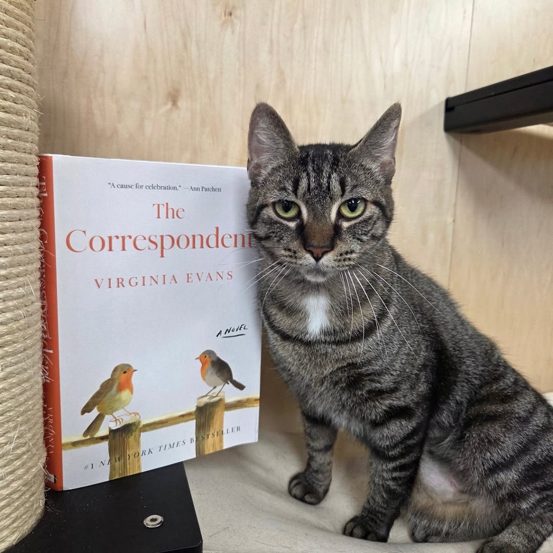 Book Club: The Correspondent