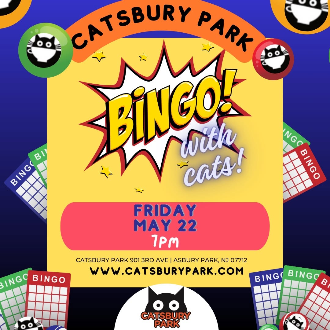 Bingo with Cats