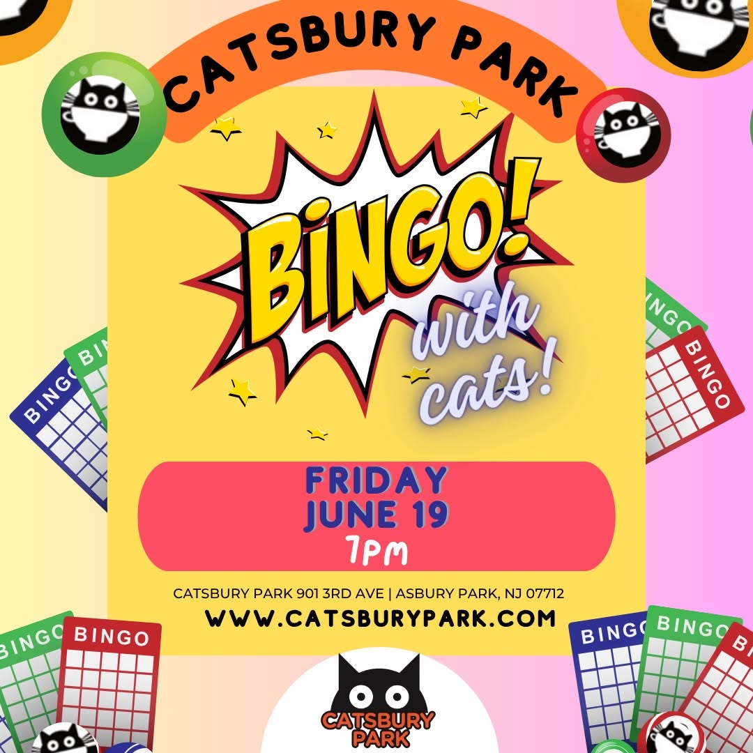 Bingo with Cats