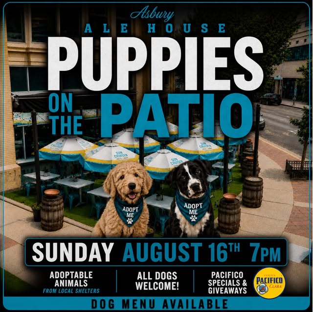 Puppies on the Patio