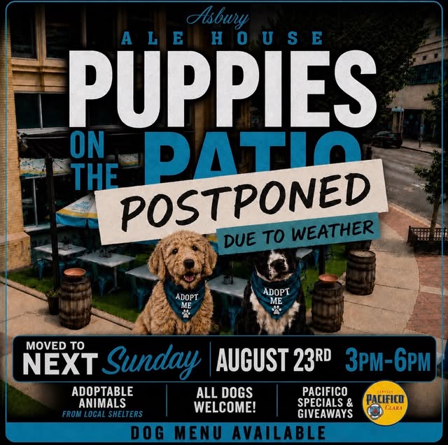 Puppies on the Patio
