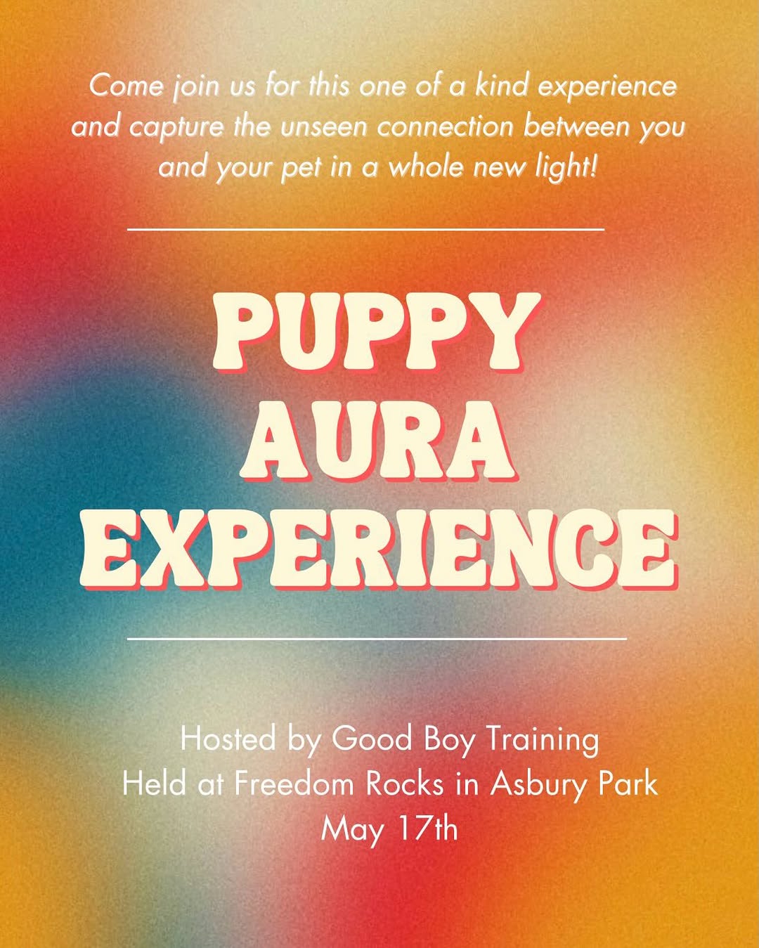 Puppy Aura Experience