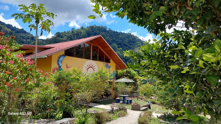 Casa Alegria Creative Studio