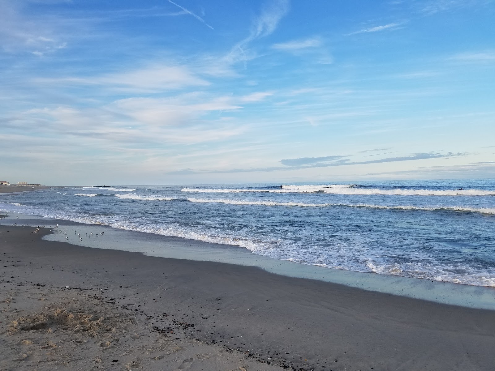 Asbury Park Dog Beach
