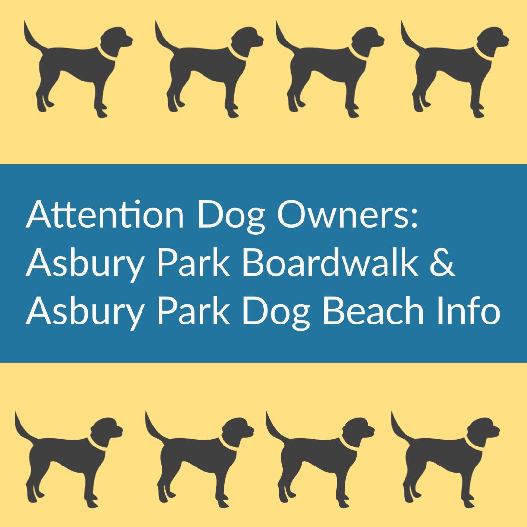 Asbury Park Dog Beach