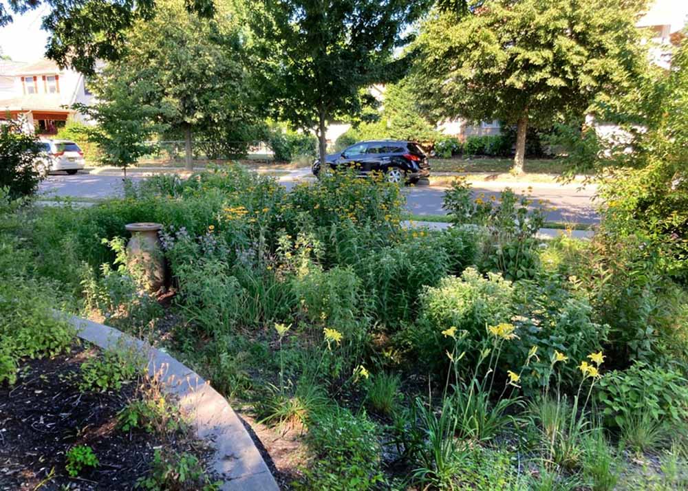 Locust Drive Park